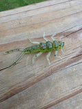 2in Stonefly