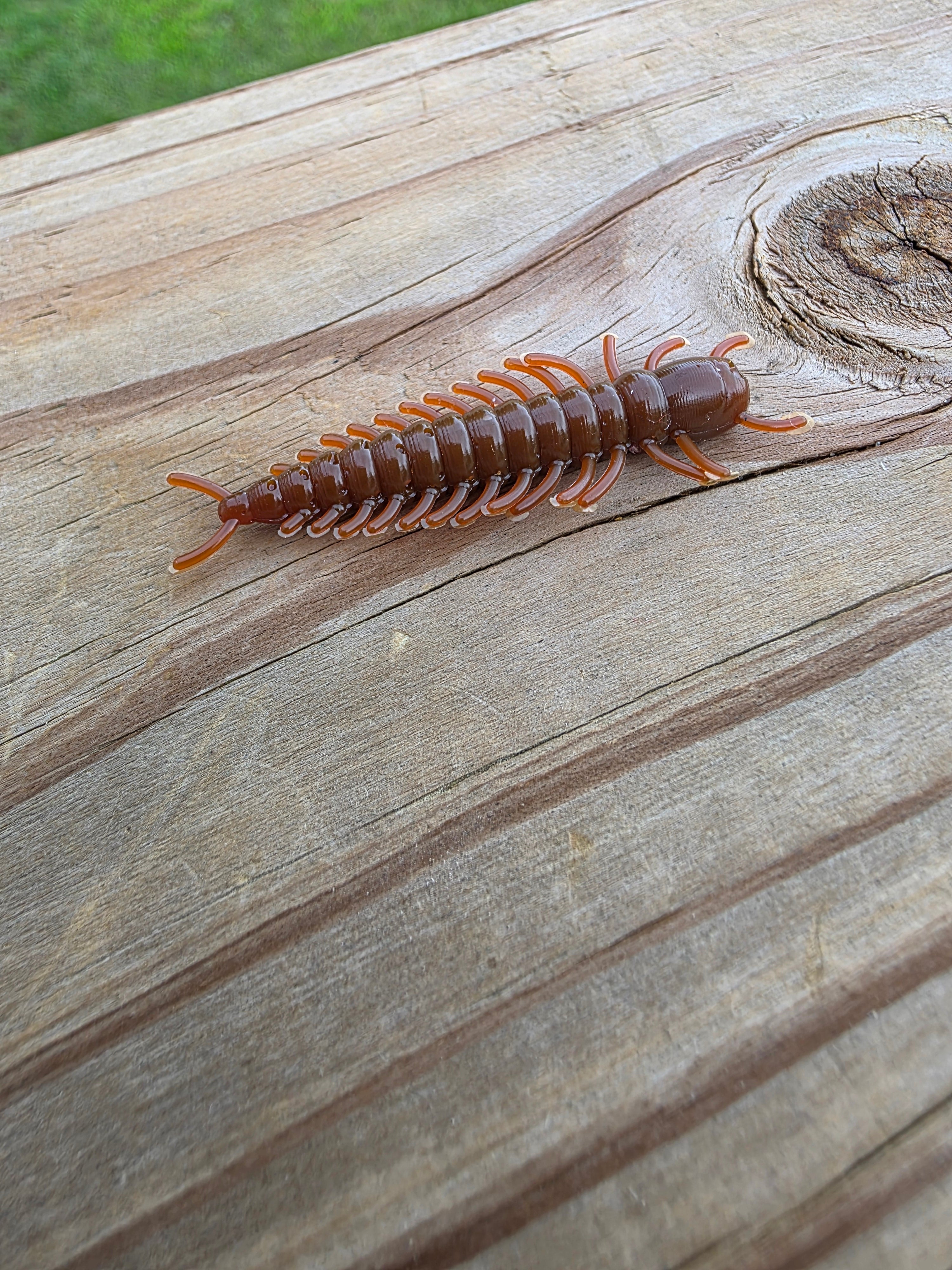 2.5in Hellgrammite