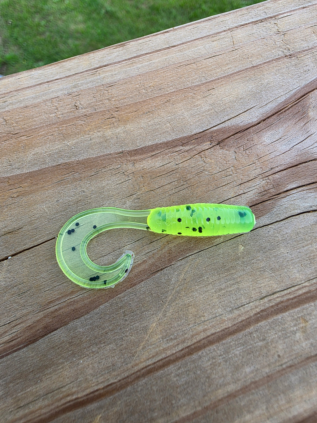 2in Curly Tail