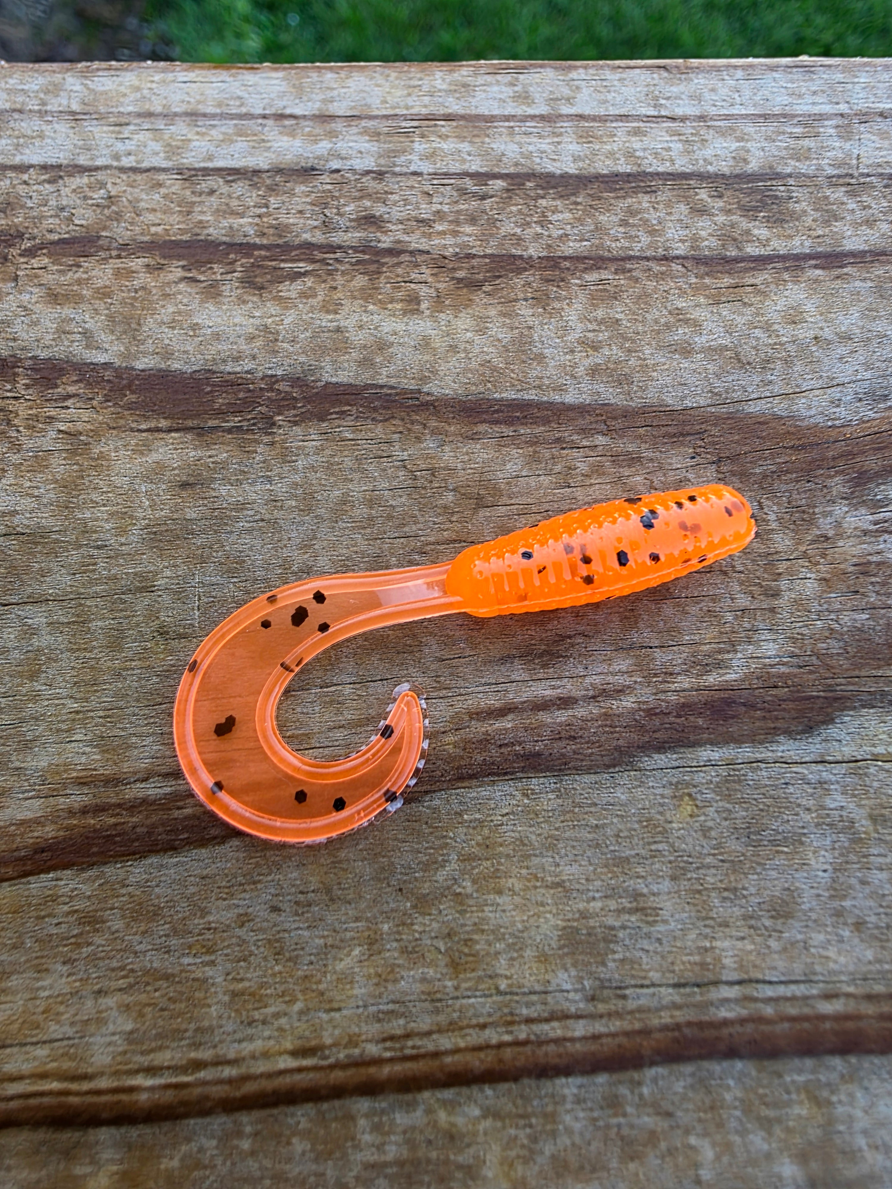 2in Curly Tail